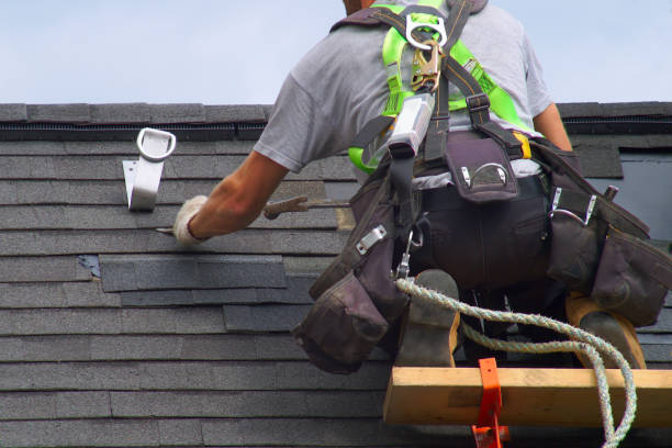 Best Roof Maintenance Services  in Winfield, MO