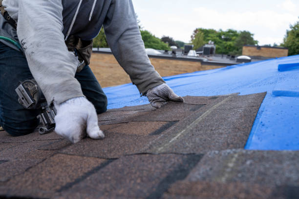Best Local Roofing Companies  in Winfield, MO