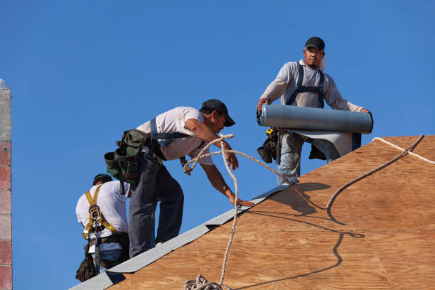 Best Roof Maintenance Services  in Winfield, MO
