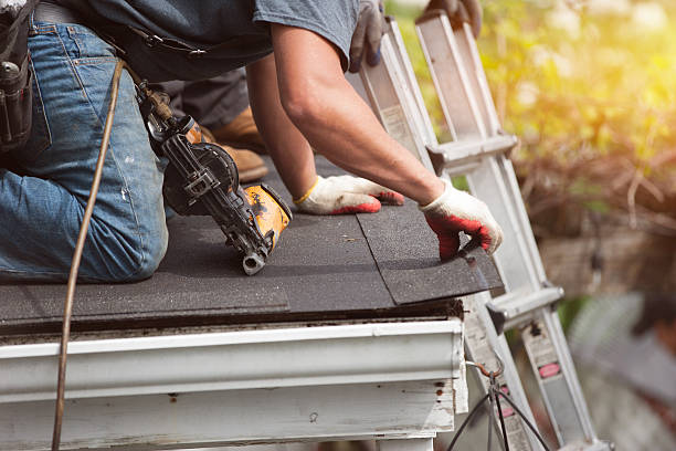 Best Metal Roofing Contractor  in Winfield, MO
